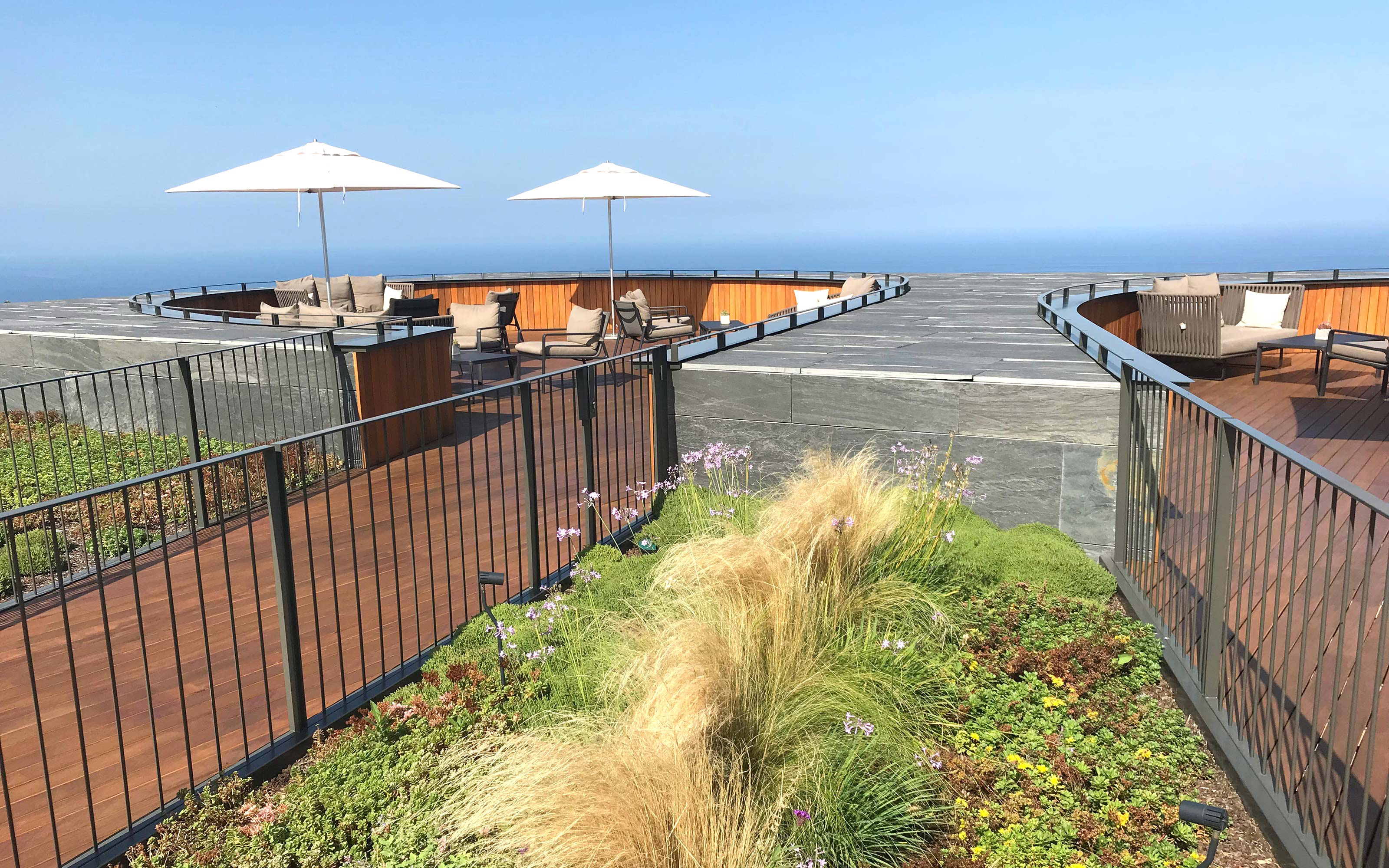 Herbs, perennials and ornamental grasses in front of a terrace with railings